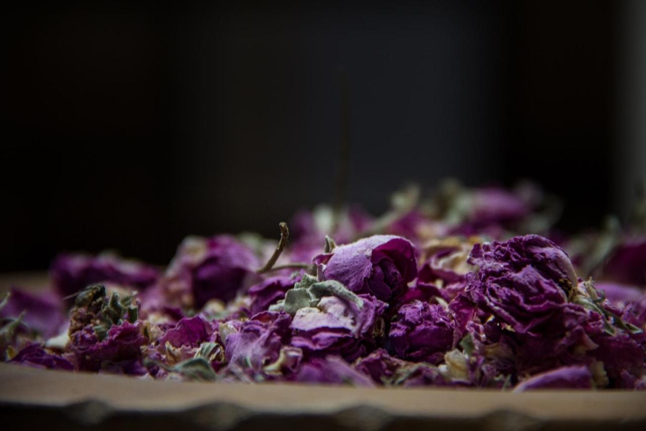 Riad Tama & Spa Ouarzazate Esterno foto
