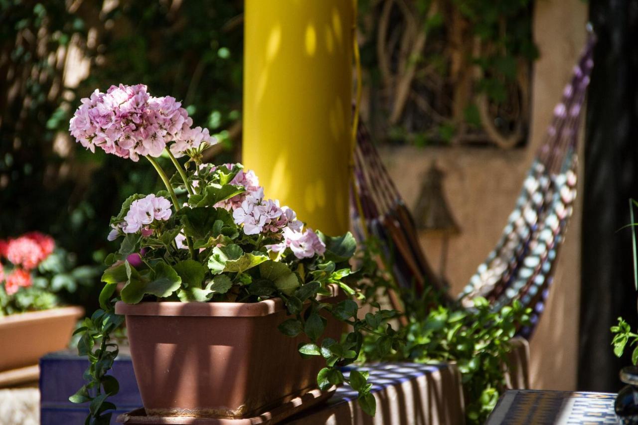 Riad Tama & Spa Ouarzazate Esterno foto
